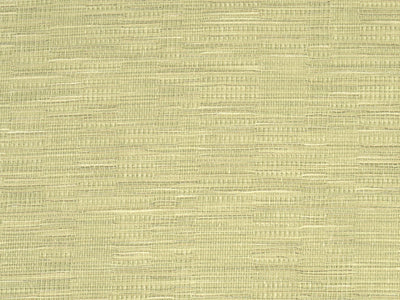 Sofia Citrus - Unis Intemporels