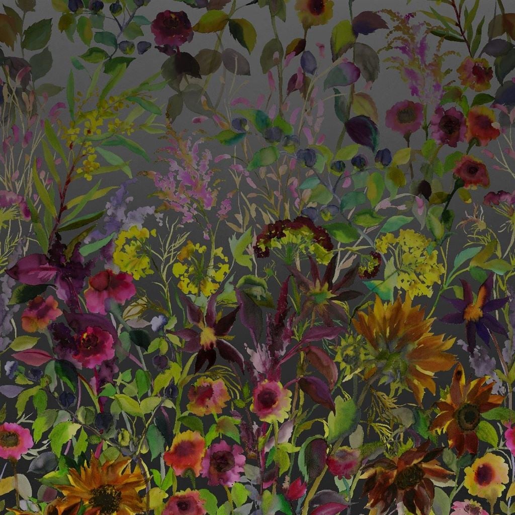 Indian Sunflower Graphite (Scenes and Murals)