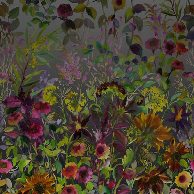 Indian Sunflower Graphite (Scenes and Murals)