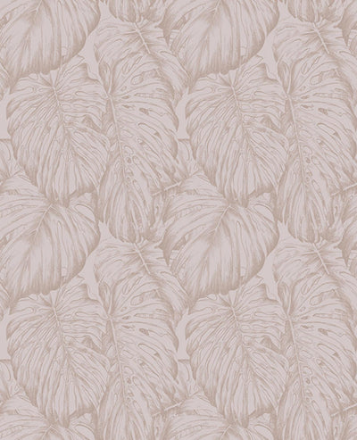 Tropical Blush Wallpaper