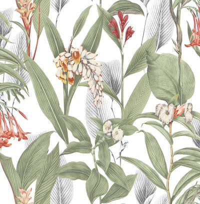 Botanical Powder Wallpaper