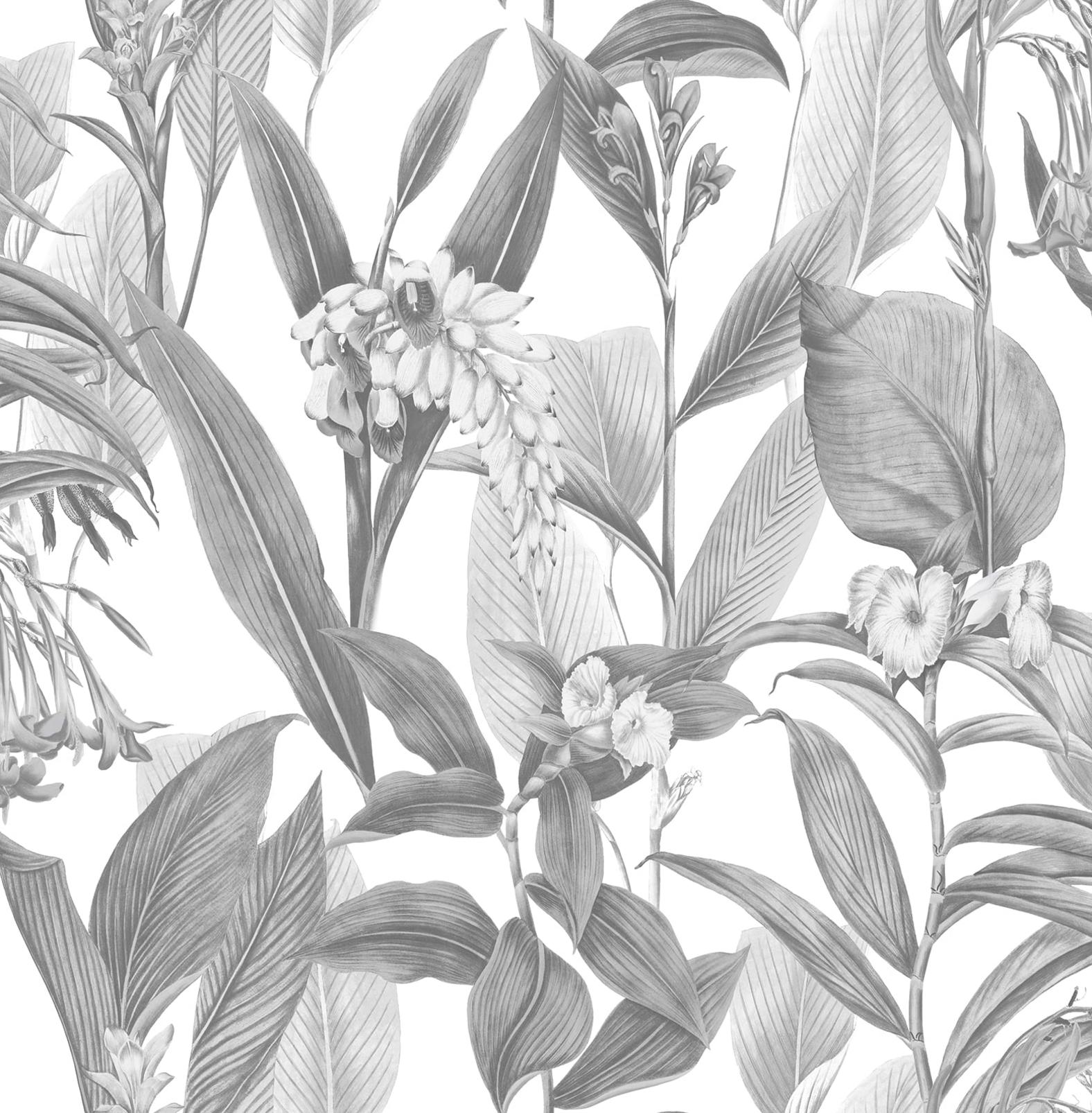 Botanical Shadow Wallpaper
