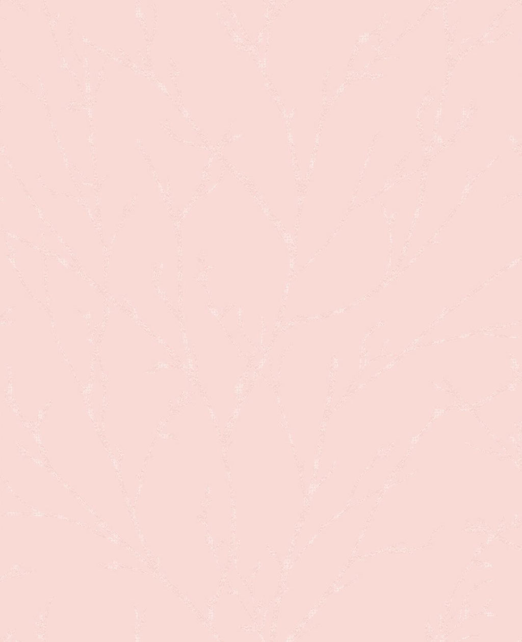 Woodland Spring Wallpaper