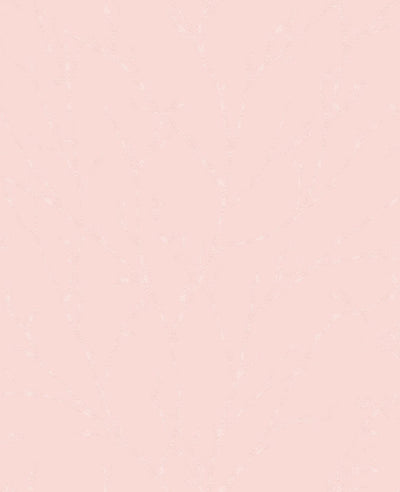 Woodland Spring Wallpaper