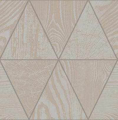 Geo Grain Ash Wallpaper