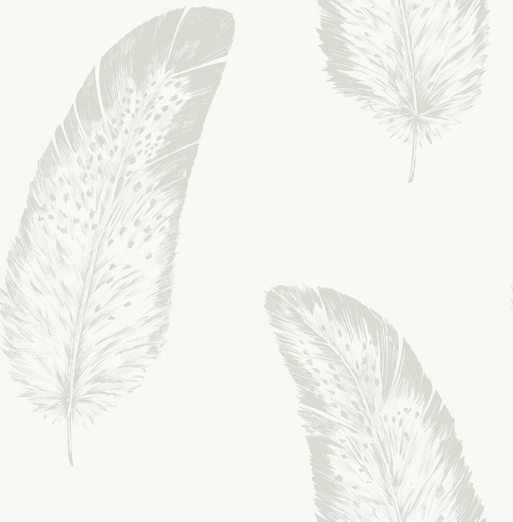 Volare Owl Wallpaper