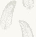 Volare Owl Wallpaper