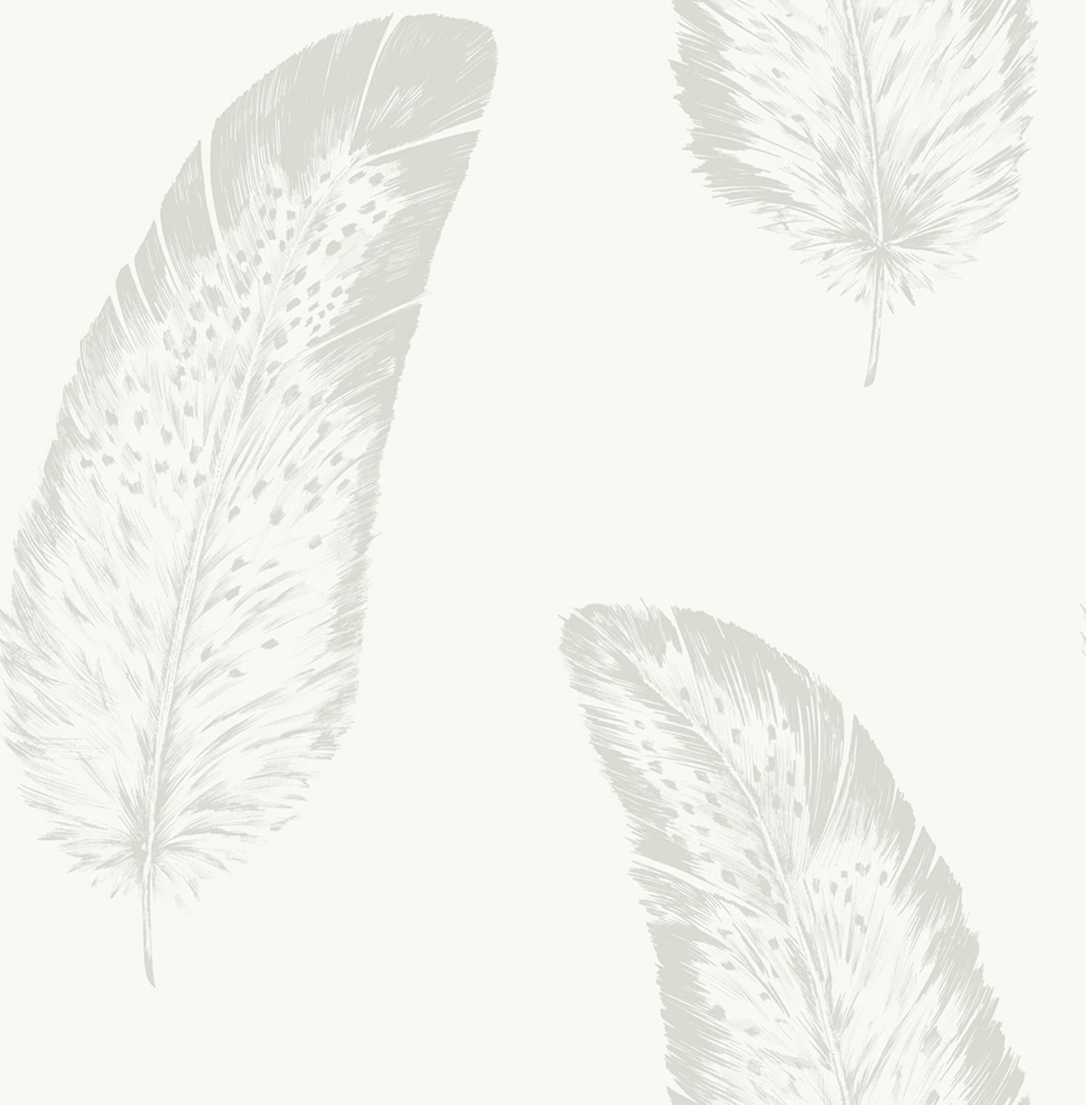Volare Owl Wallpaper