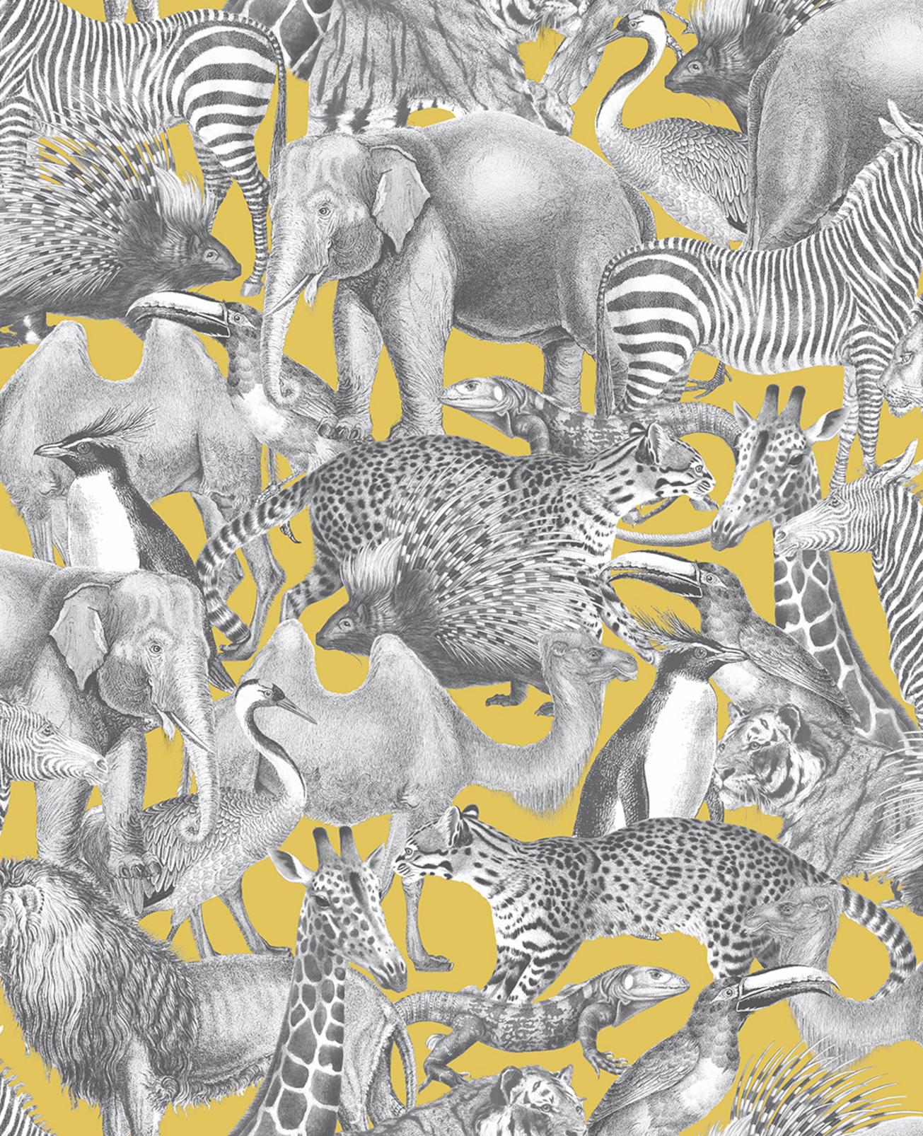 Kingdom Lion Wallpaper
