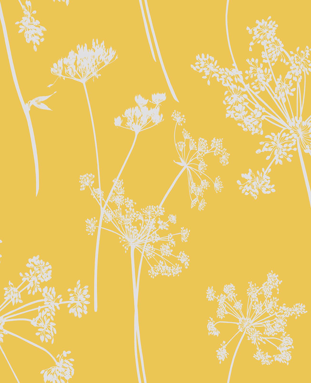 Anthriscus Summer Wallpaper