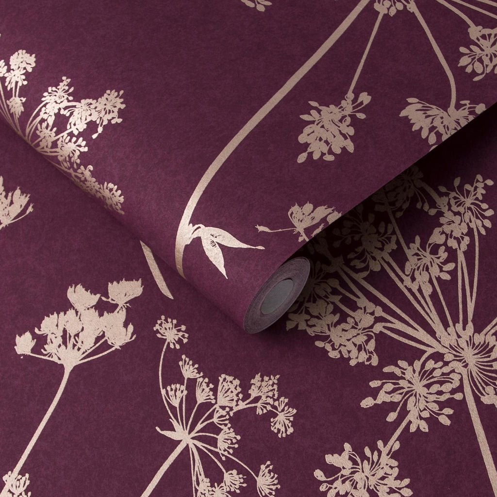 Anthriscus Plum Wallpaper