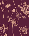 Anthriscus Plum Wallpaper