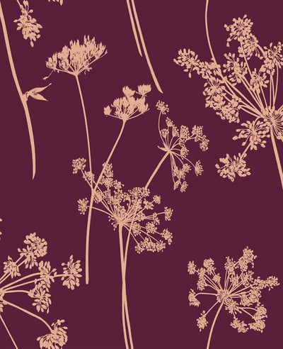 Anthriscus Plum Wallpaper
