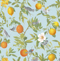 Amalfi Cielo Wallpaper