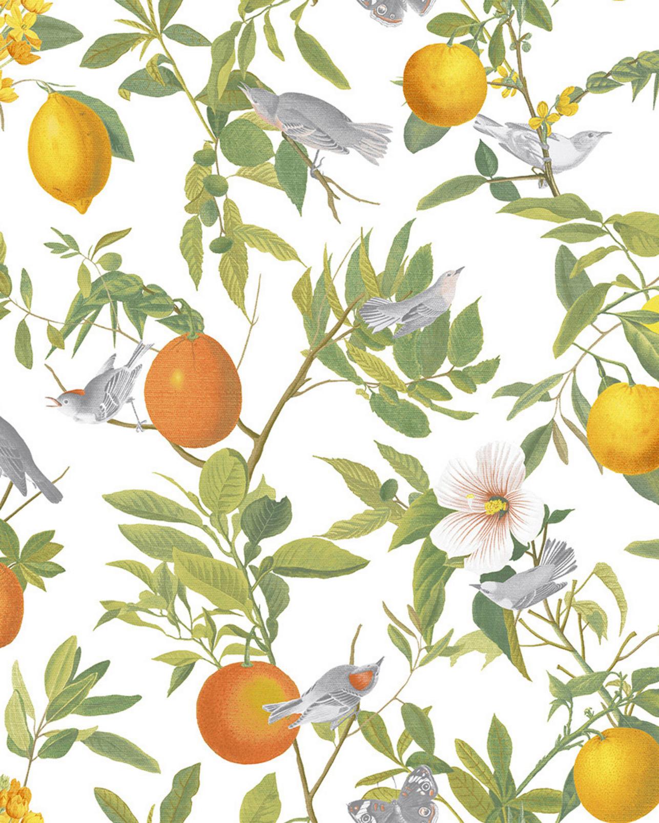 Amalfi White Wallpaper