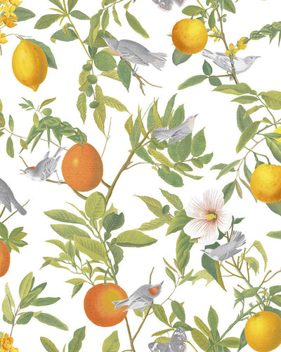Amalfi White Wallpaper