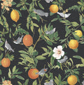 Amalfi Umore Wallpaper