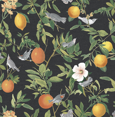 Amalfi Umore Wallpaper