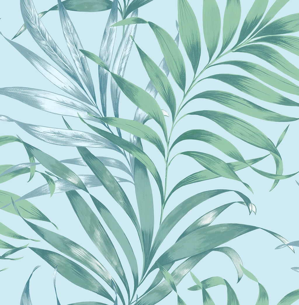 Yasuni Sky Wallpaper