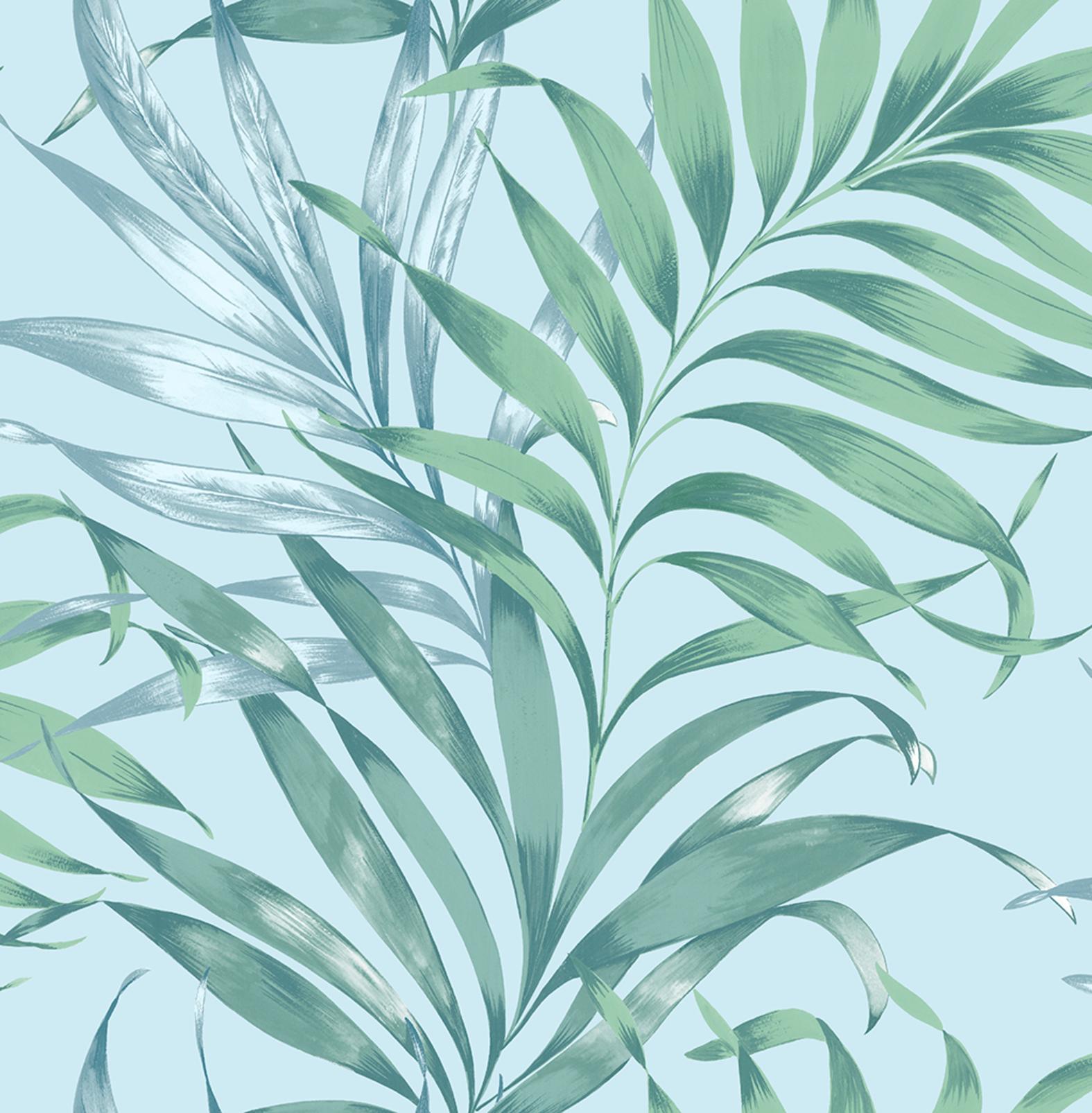 Yasuni Sky Wallpaper