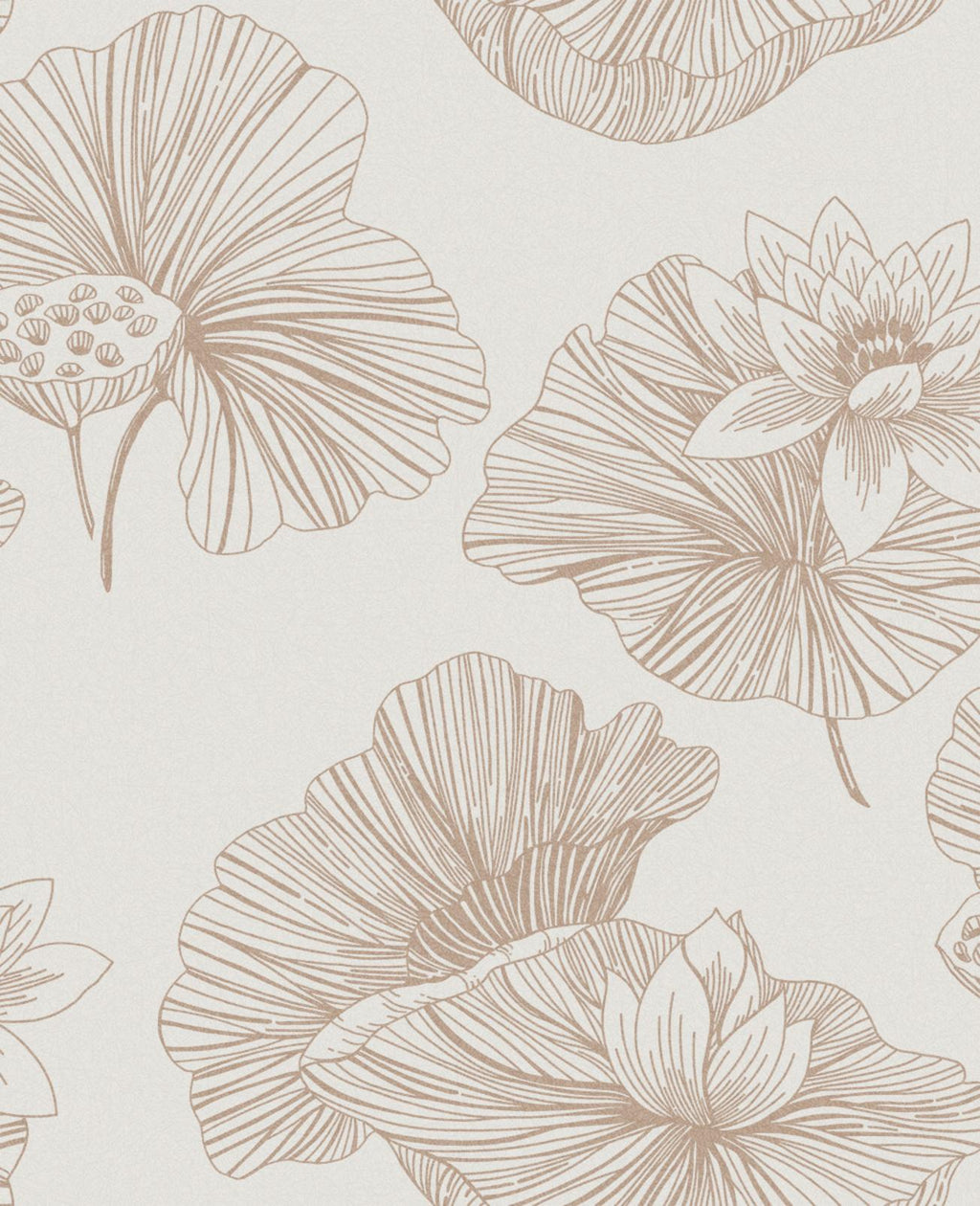 Lotus Cream Wallpaper