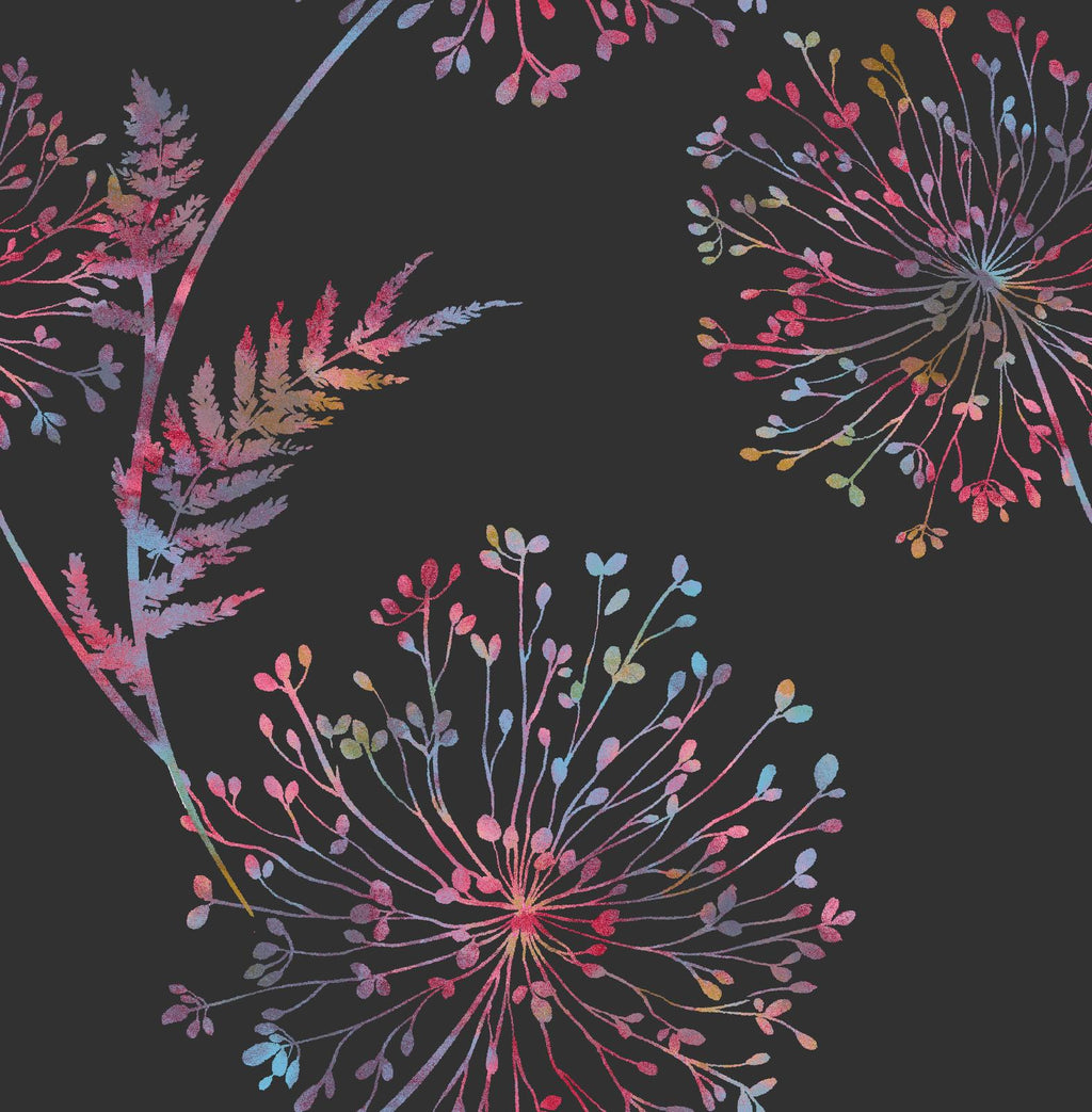 Wish Black Wallpaper