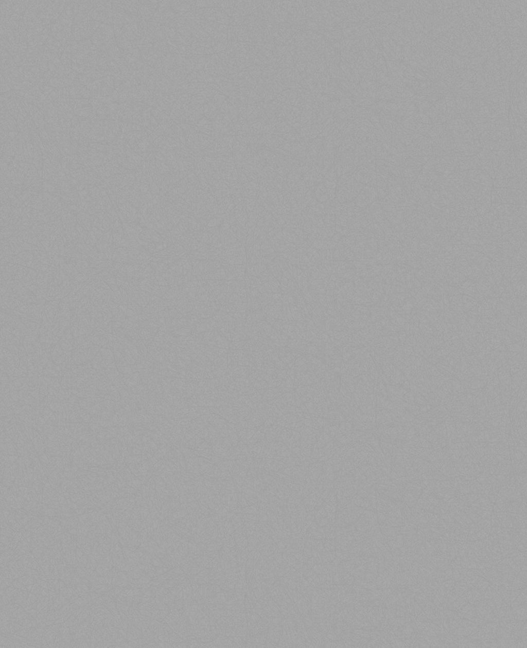 Lagom Grey Plain Wallpaper