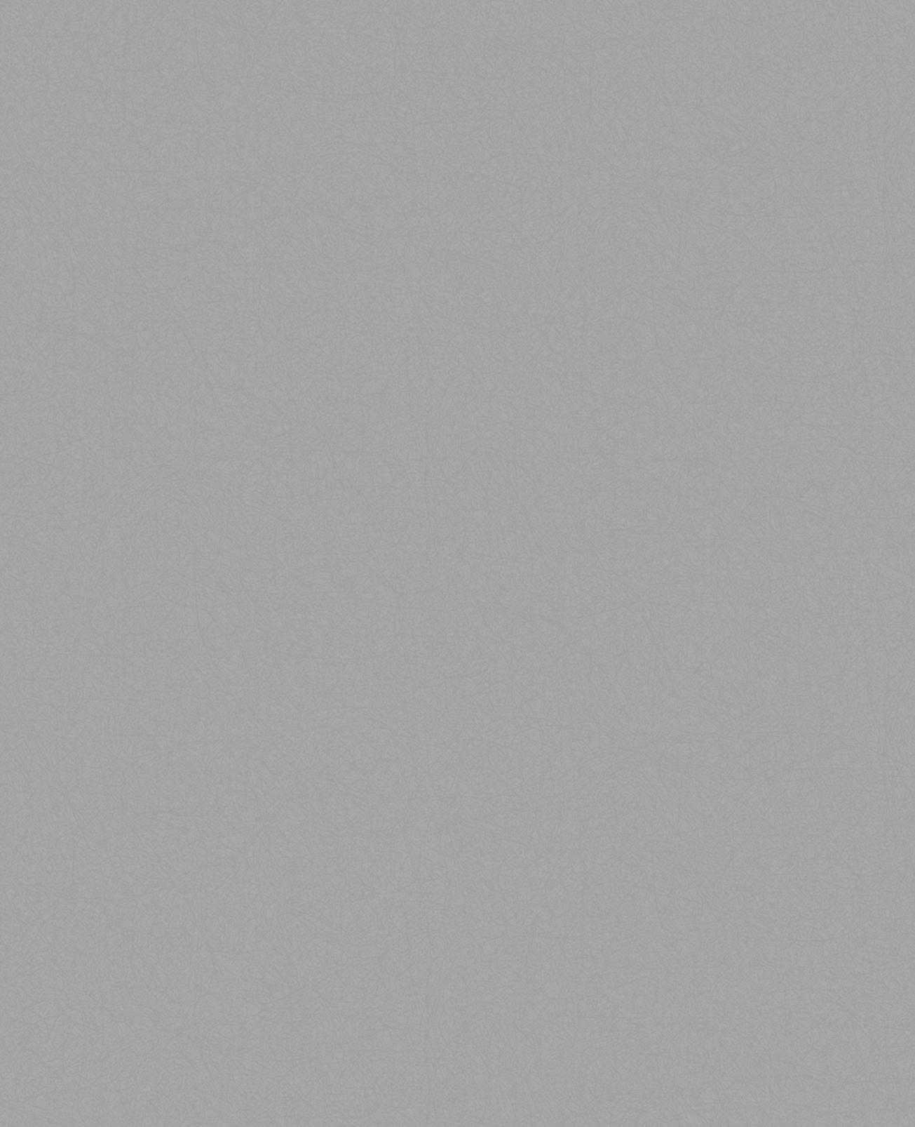 Lagom Grey Plain Wallpaper