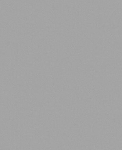 Lagom Grey Plain Wallpaper