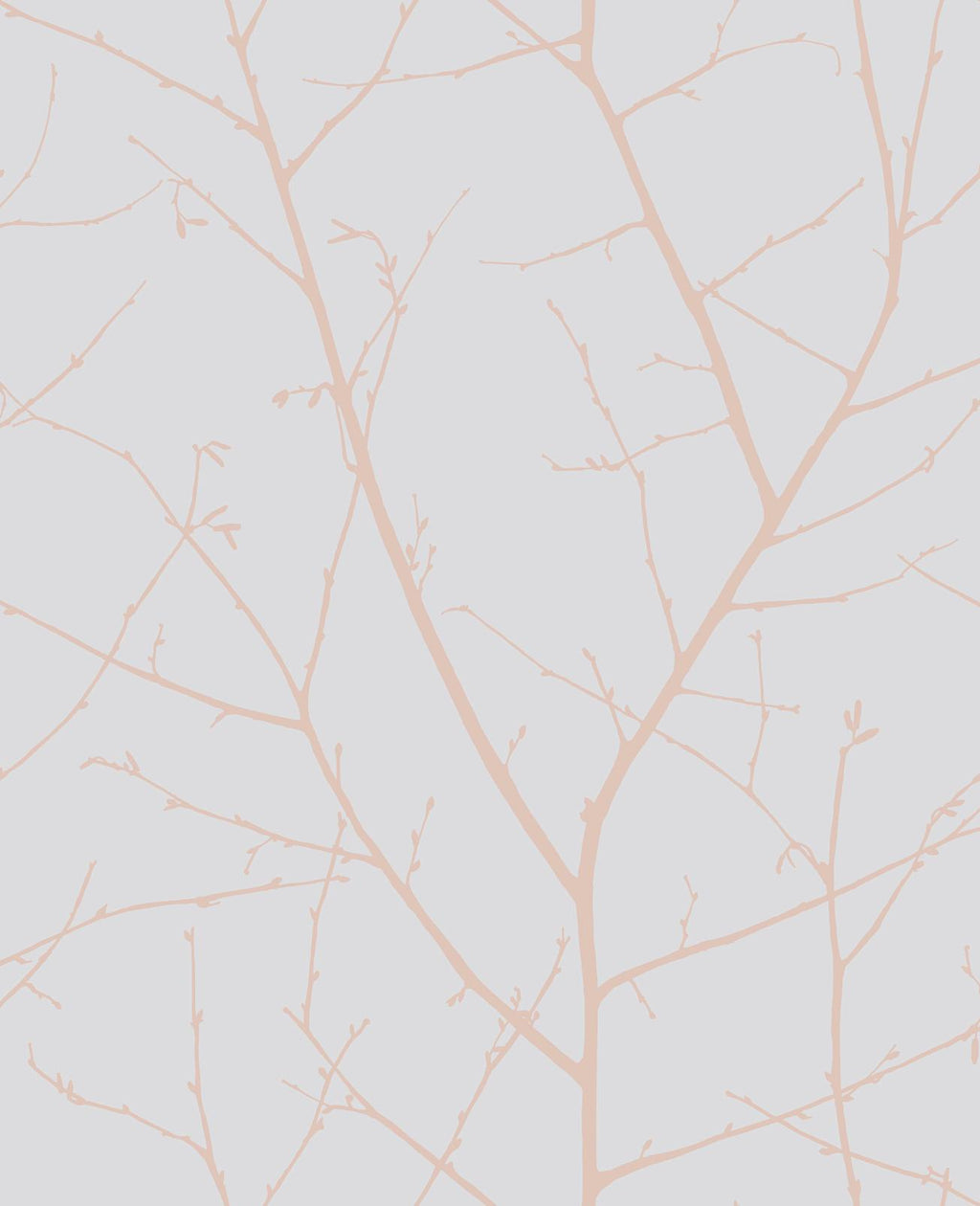 Boreas Soft Grey Wallpaper