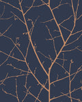 Boreas Midnight Wallpaper