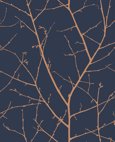 Boreas Midnight Wallpaper