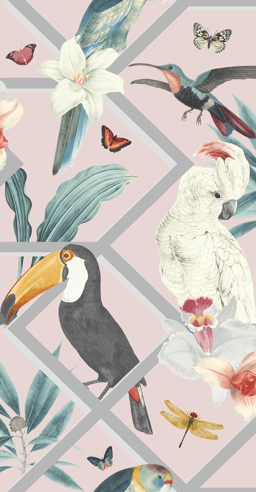 Perch Blush Wallpaper