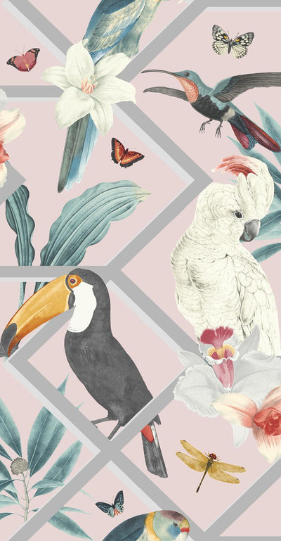 Perch Blush Wallpaper