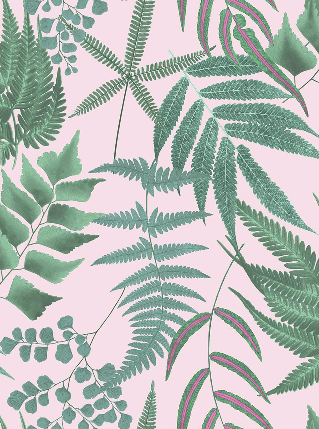 Midsummer Fern Blush Wallpaper