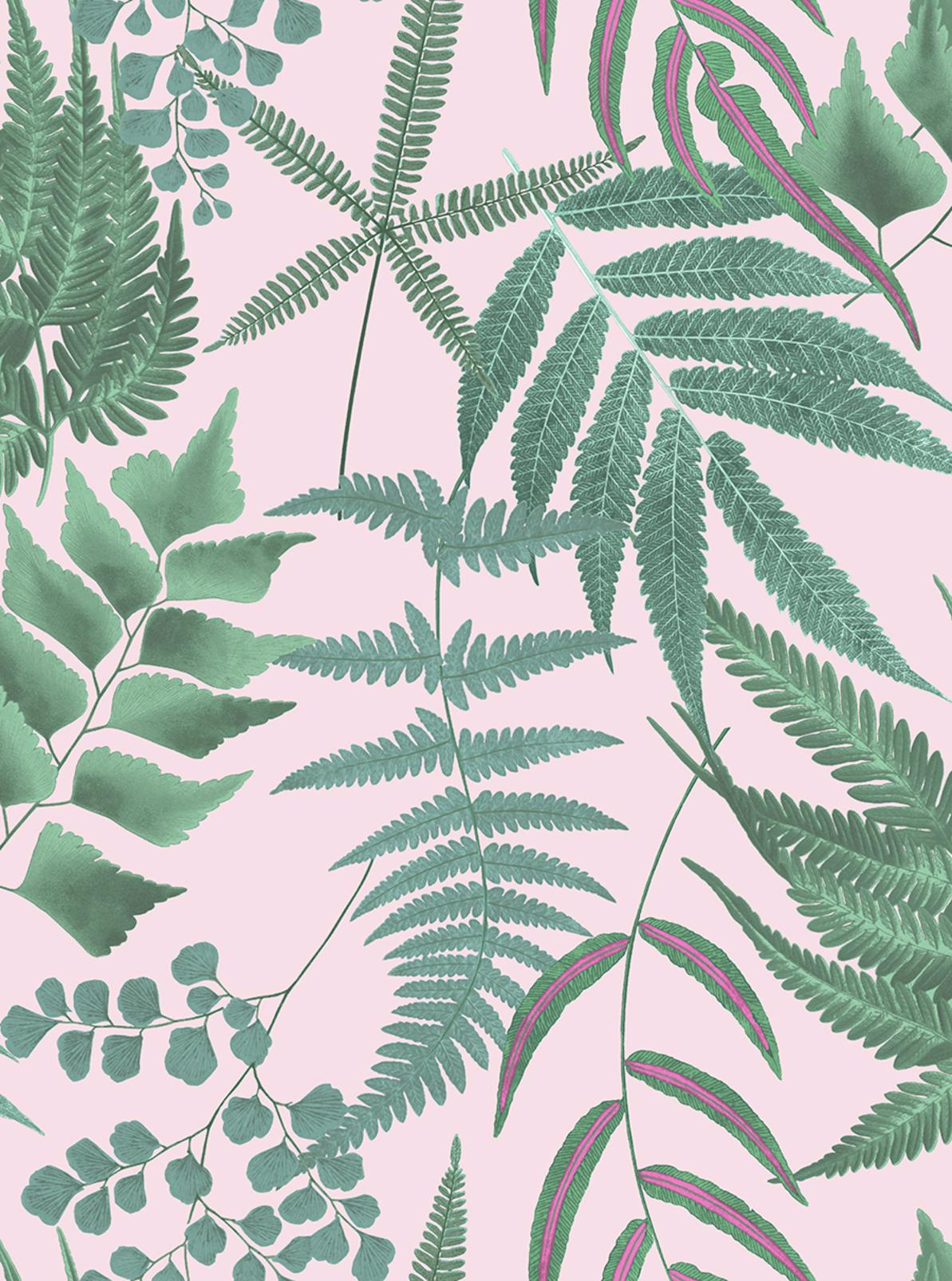 Midsummer Fern Blush Wallpaper