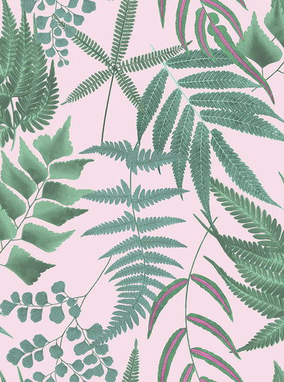 Midsummer Fern Blush Wallpaper
