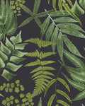 Midsummer Fern Black Wallpaper