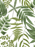 Midsummer Fern Lush Wallpaper