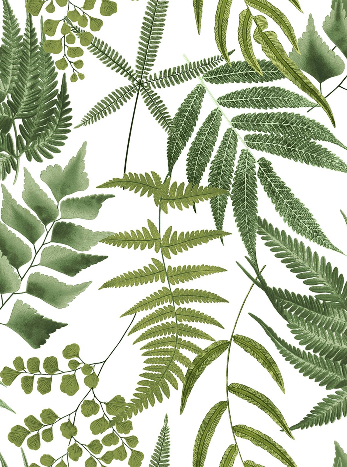 Midsummer Fern Lush Wallpaper