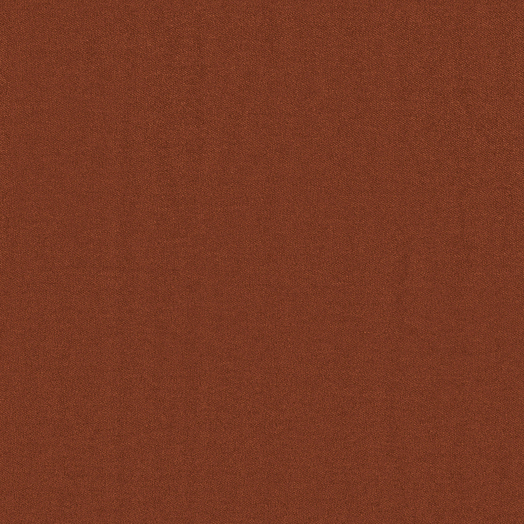 Cashmere Heaven - 10982385