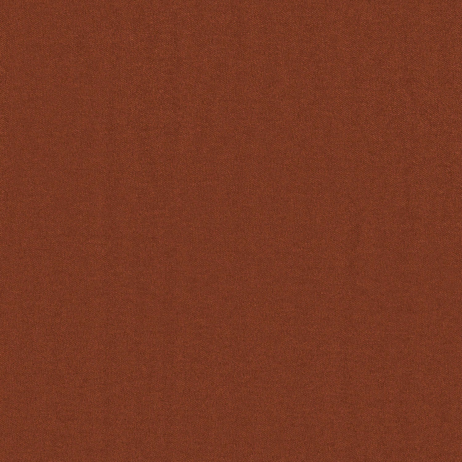 Cashmere Heaven - 10982385