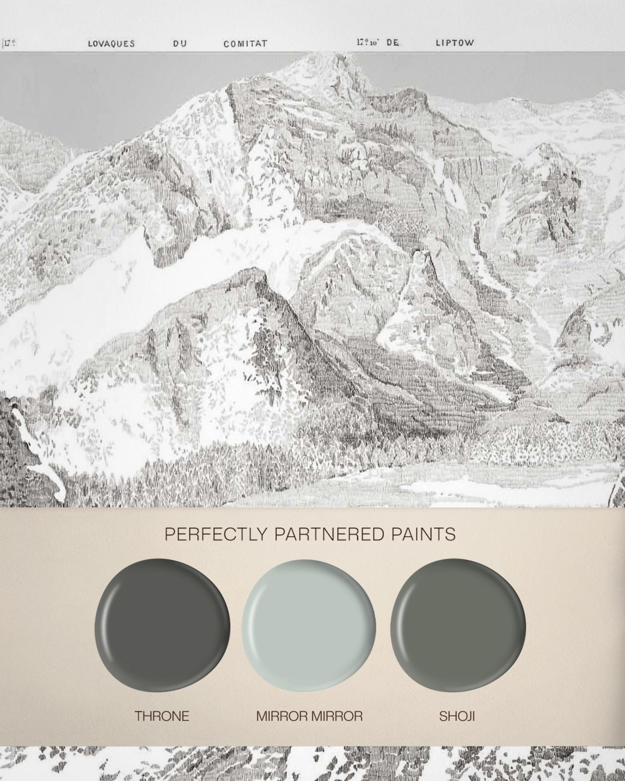 Sketch Mountain Gris Bespoke Mural