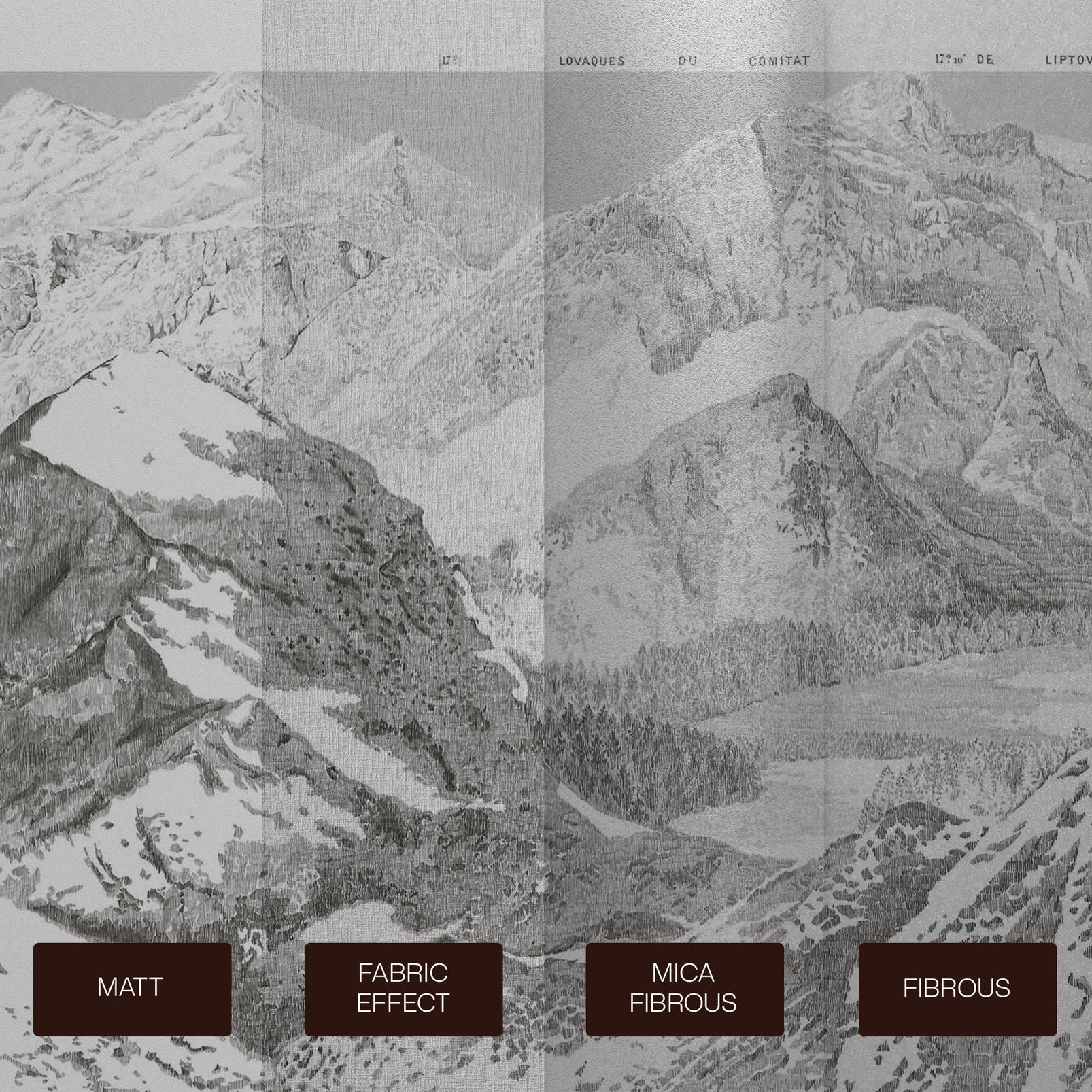 Sketch Mountain Gris Bespoke Mural