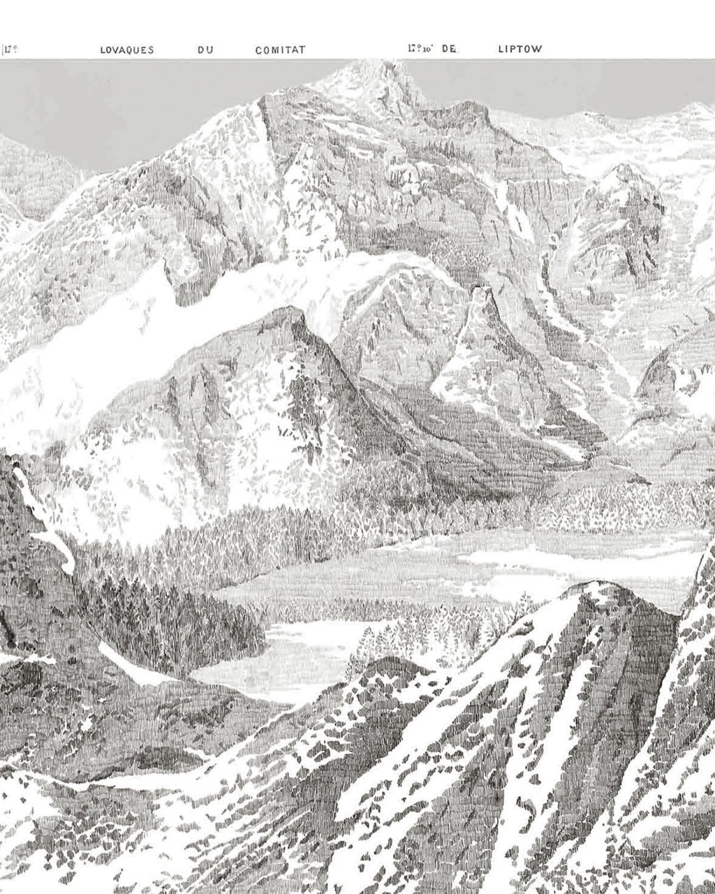 Sketch Mountain Gris Bespoke Mural