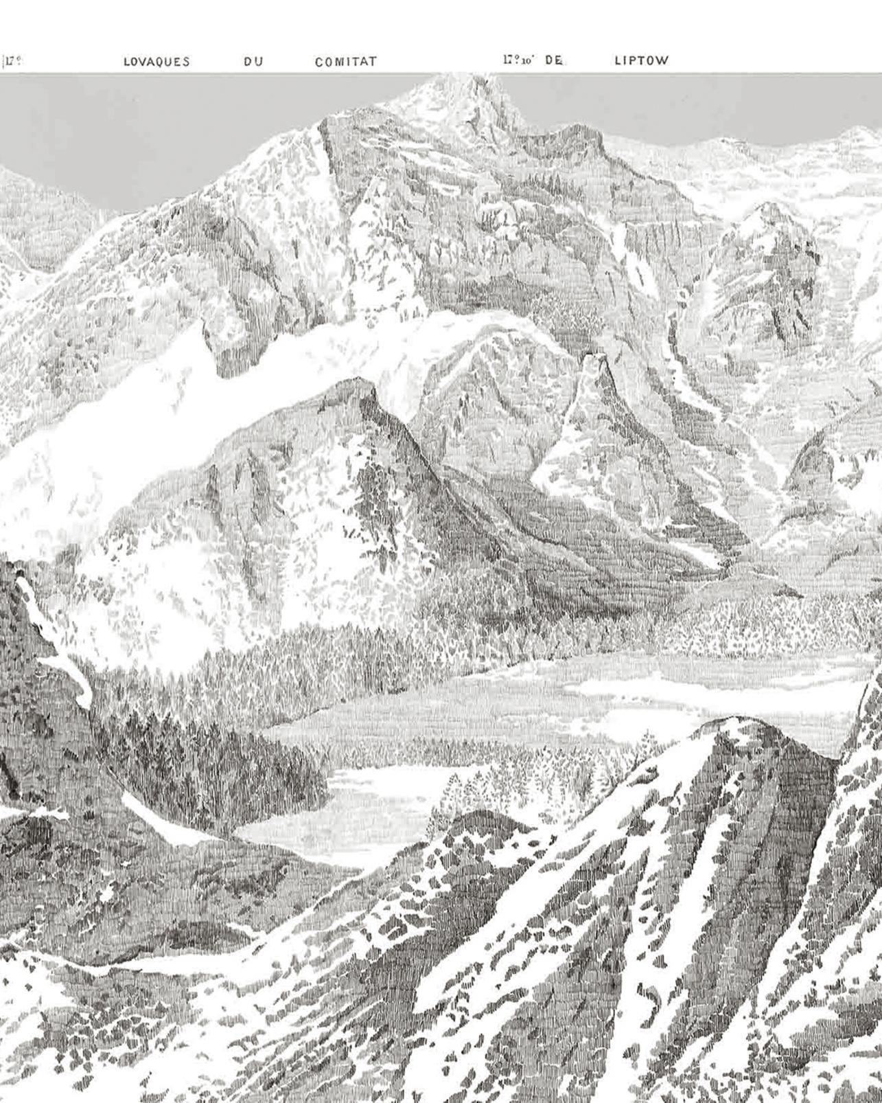 Sketch Mountain Gris Bespoke Mural
