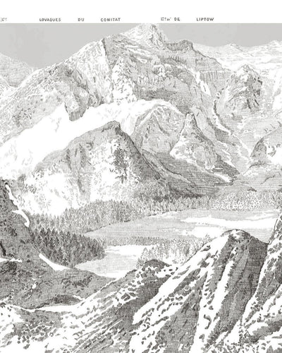 Sketch Mountain Gris Bespoke Mural