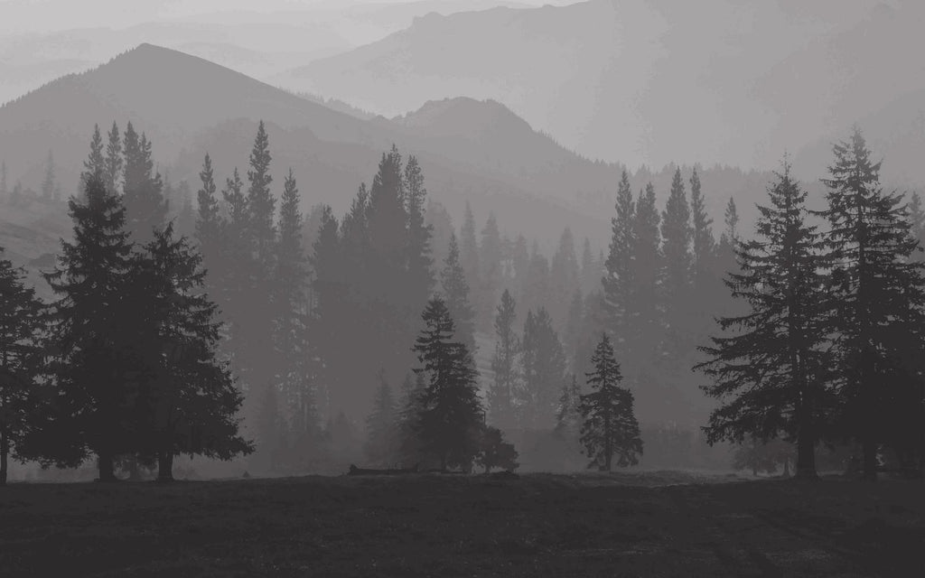 Misty Mountains Bespoke Mural