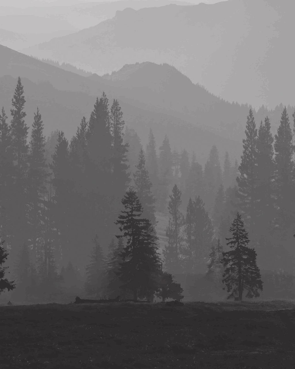 Misty Mountains Bespoke Mural