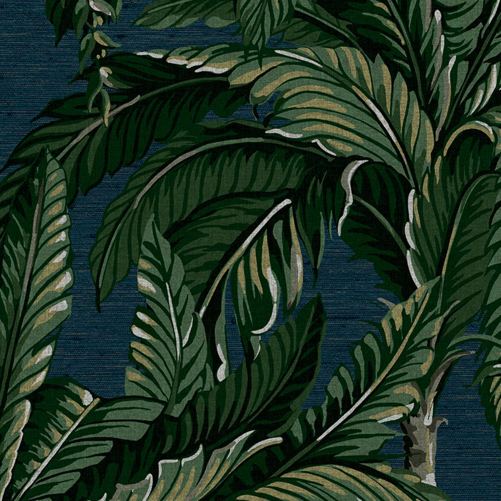 Daintree Palm Midnight Wallpaper